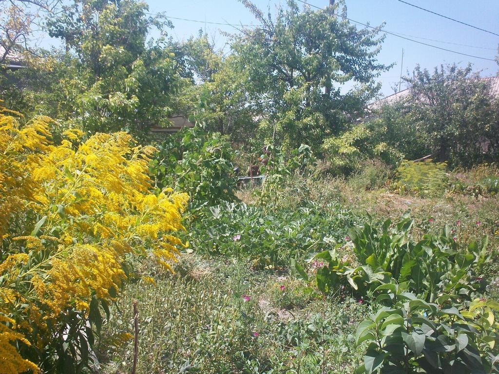 Barseghyan'S Guest House Vardenis Ngoại thất bức ảnh